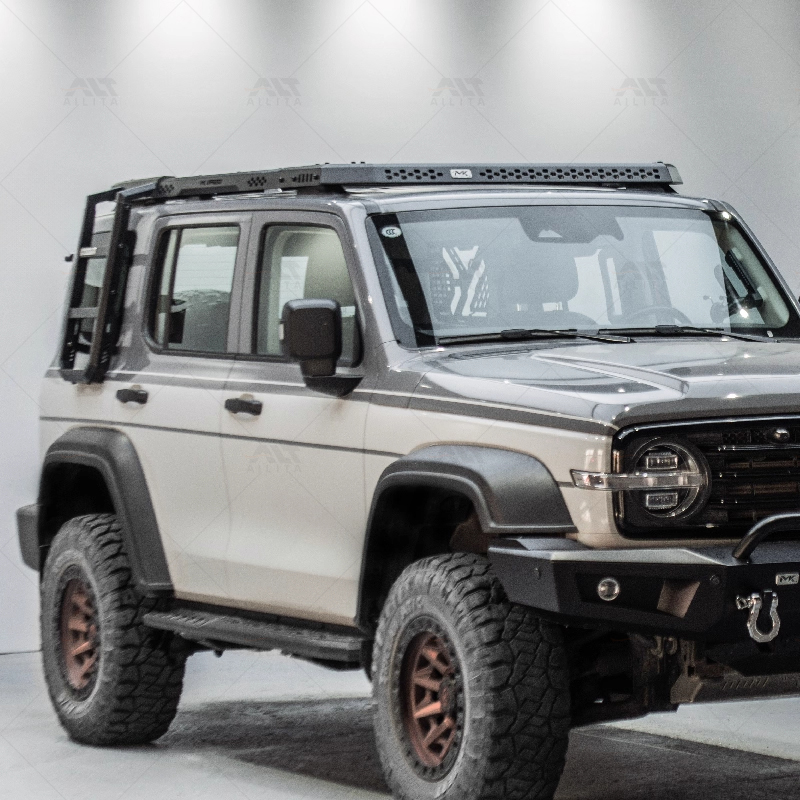 Neues Design Aluminium Explore – Cargo Rack Aluminum Bewertung und Preis