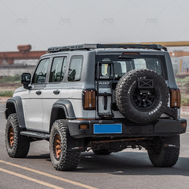 Neues Design Aluminium Explore – Cargo Rack Aluminum Bewertung und Preis
