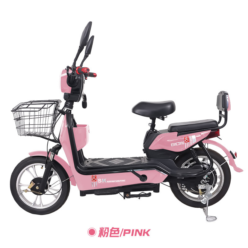 YTYIN Neues Elektrofahrrad 48V – Commuter Biking Bewertung und Preis